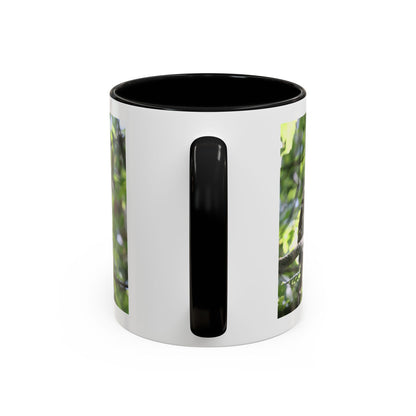 Hawk Perch Accent Coffee Mug (11/15 oz) – Nature Bird Photography