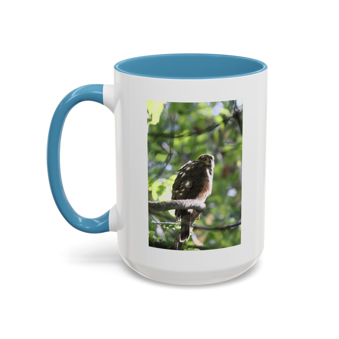 Hawk Perch Accent Coffee Mug (11/15 oz) – Nature Bird Photography