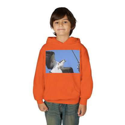 Youth Osprey Photo Hoodie — Kids Birdwatching Nature Pullover
