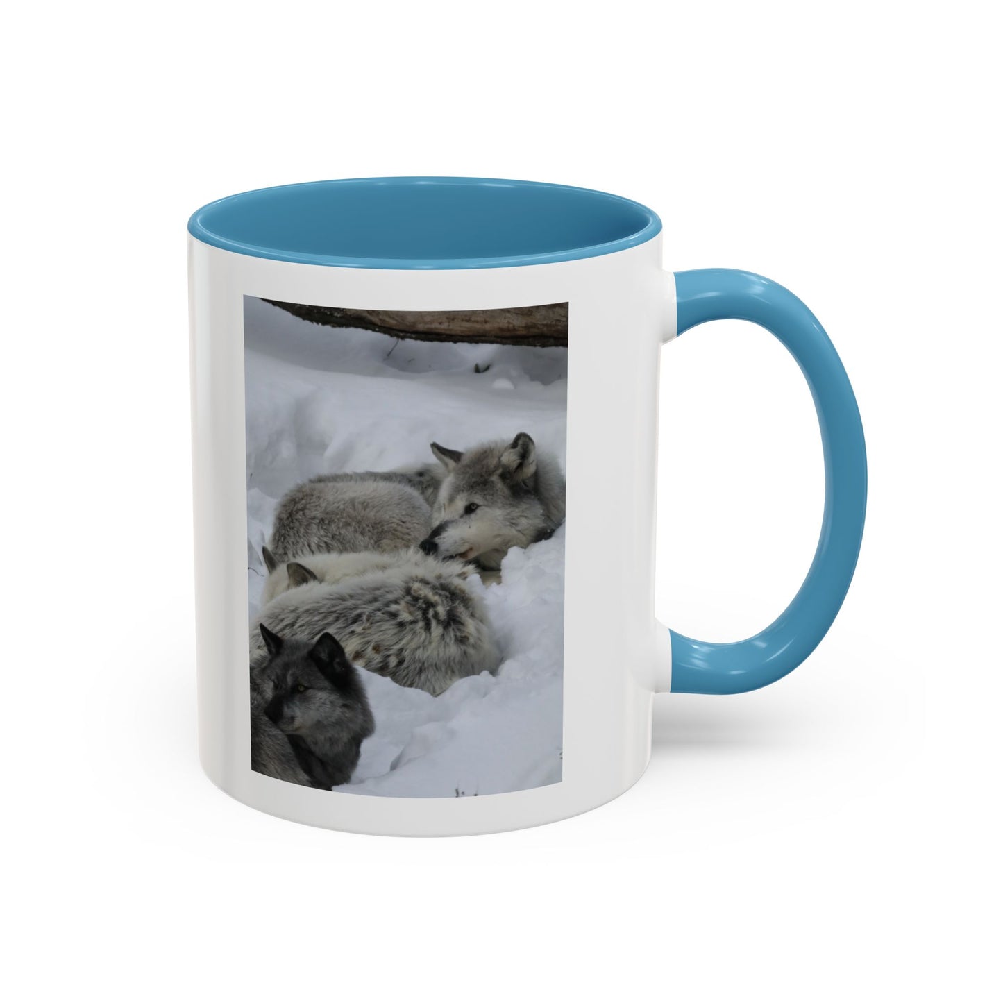 Wolf Pack Coffee Mug – Accent Black Handle 11/15oz, Winter Wildlife Photo