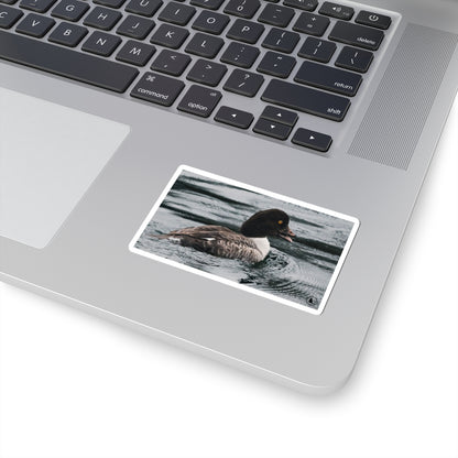 Kiss-Cut Sticker — Realistic Duck on Water Photograph | Waterproof Laptop Decal