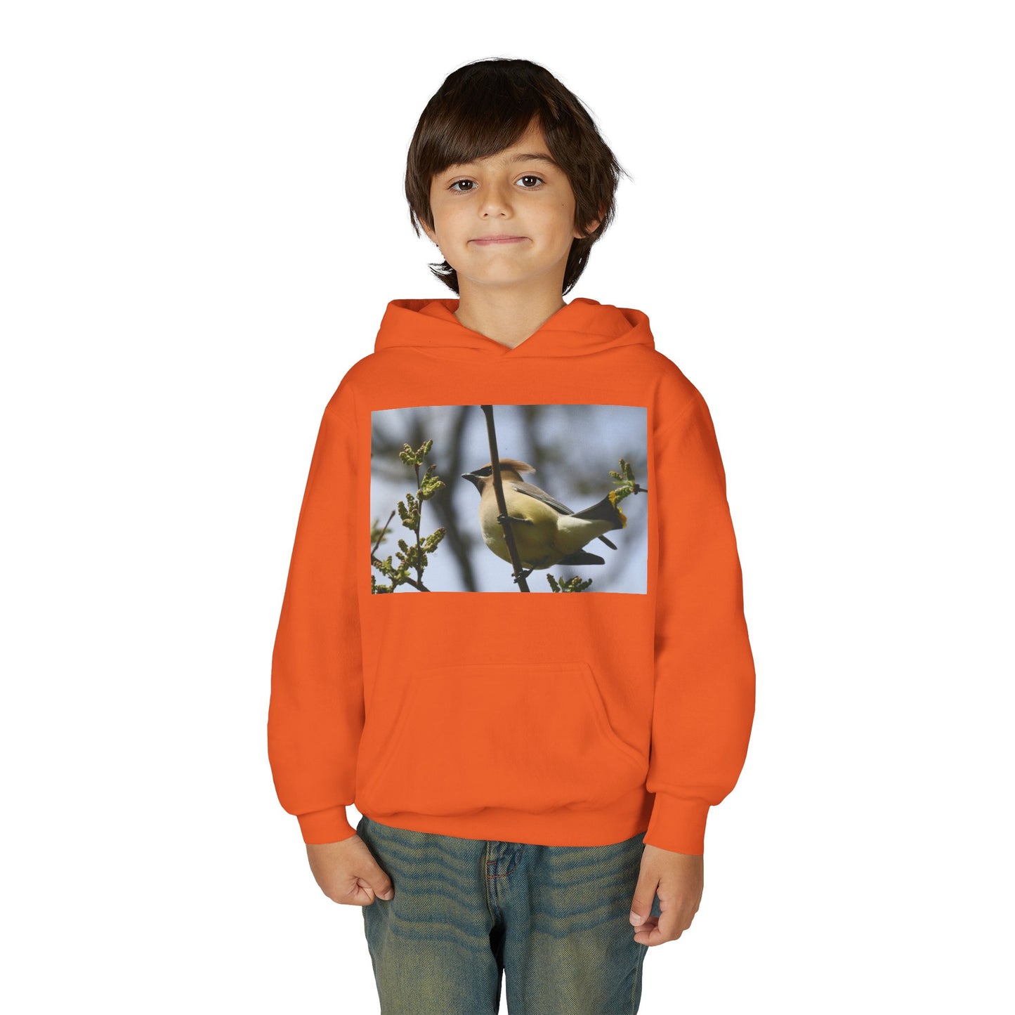 Cedar Waxwing Bird Hoodie | Youth Hooded Sweatshirt