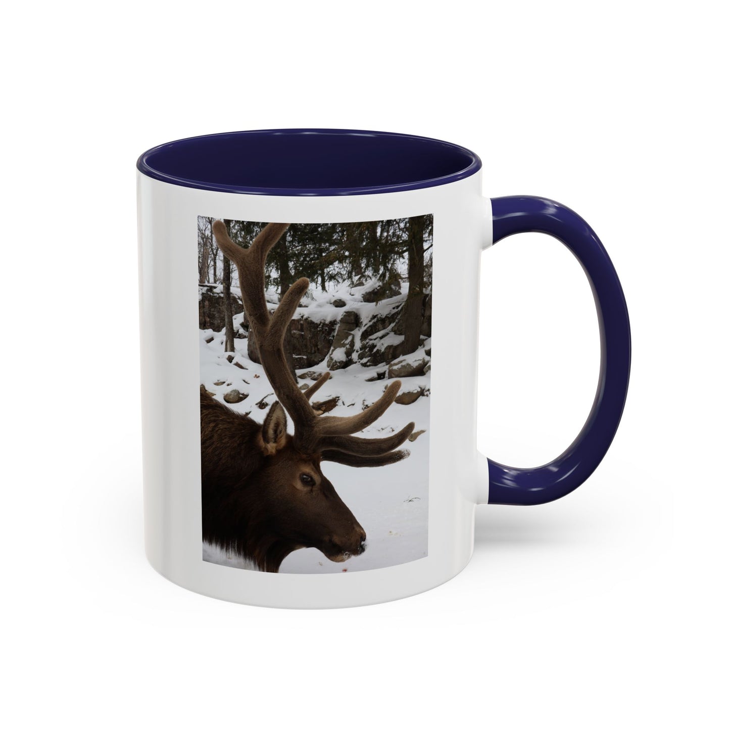 Elk in Snow Accent Coffee Mug — Nature Wildlife Photo Mug (11/15oz)