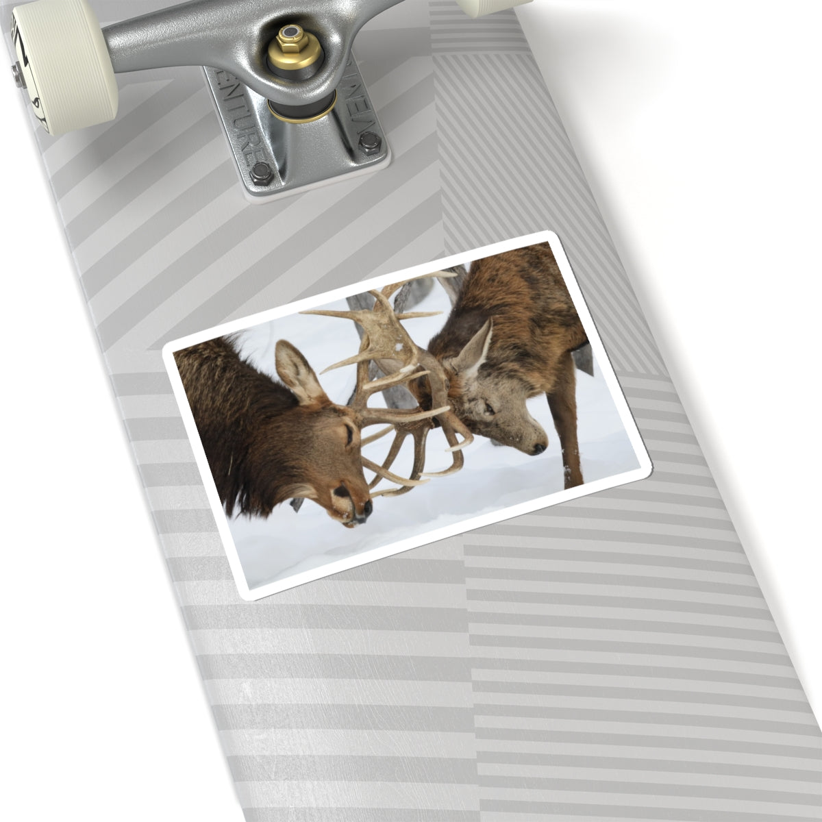 Deer Antler Clash Sticker — Wildlife Photography Kiss-Cut Decal