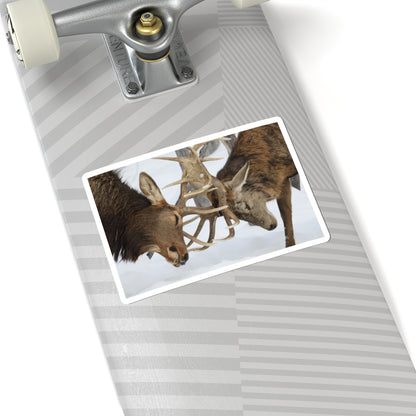 Deer Antler Clash Sticker — Wildlife Photography Kiss-Cut Decal
