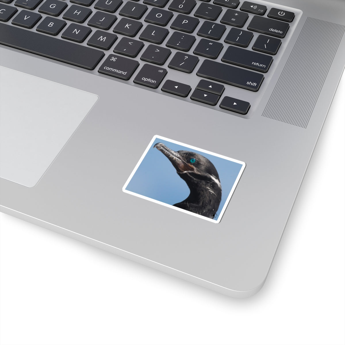 Blue-Eyed Cormorant Kiss-Cut Sticker — Wildlife Laptop Decal