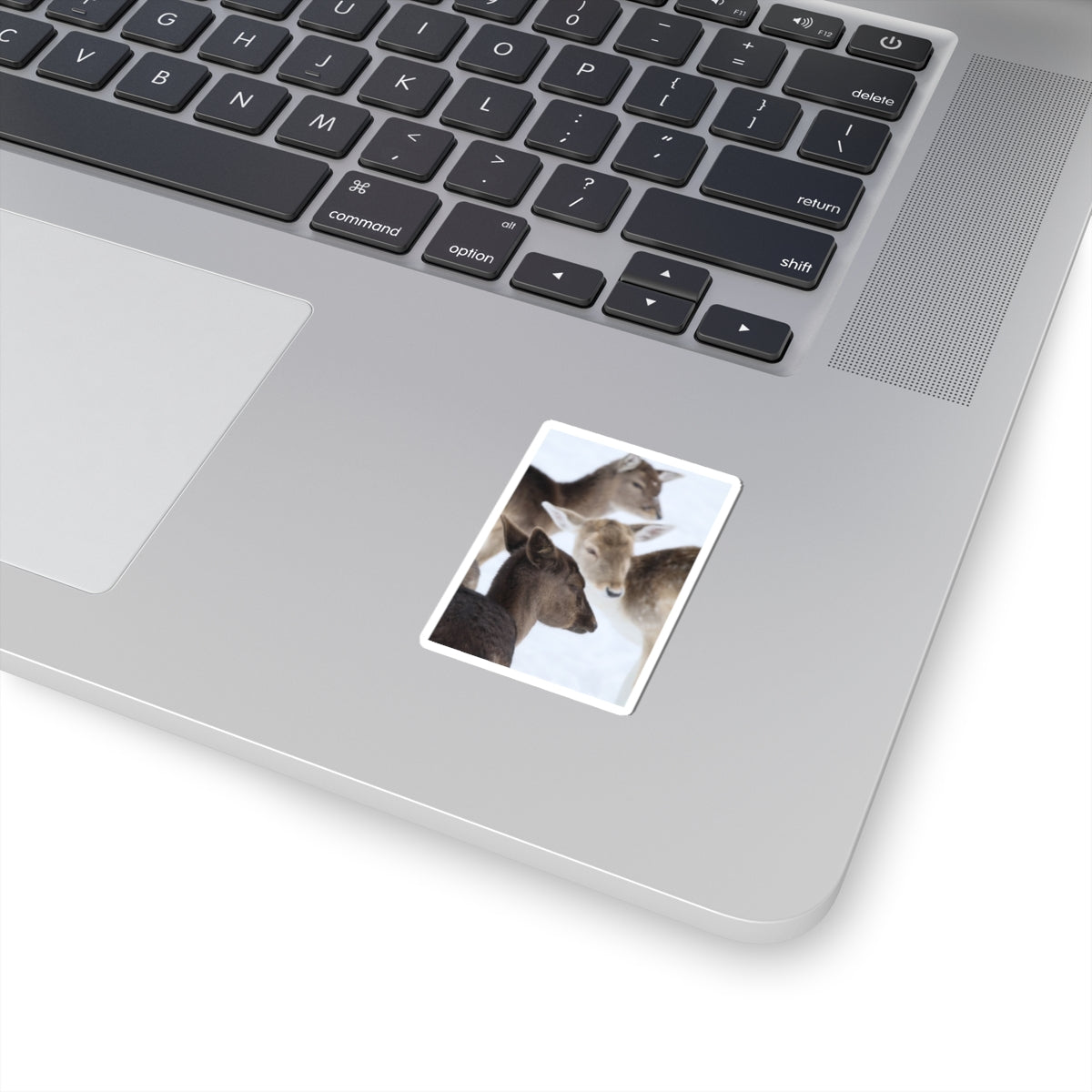 Deer Herd Kiss-Cut Sticker — Winter Wildlife Photo Sticker