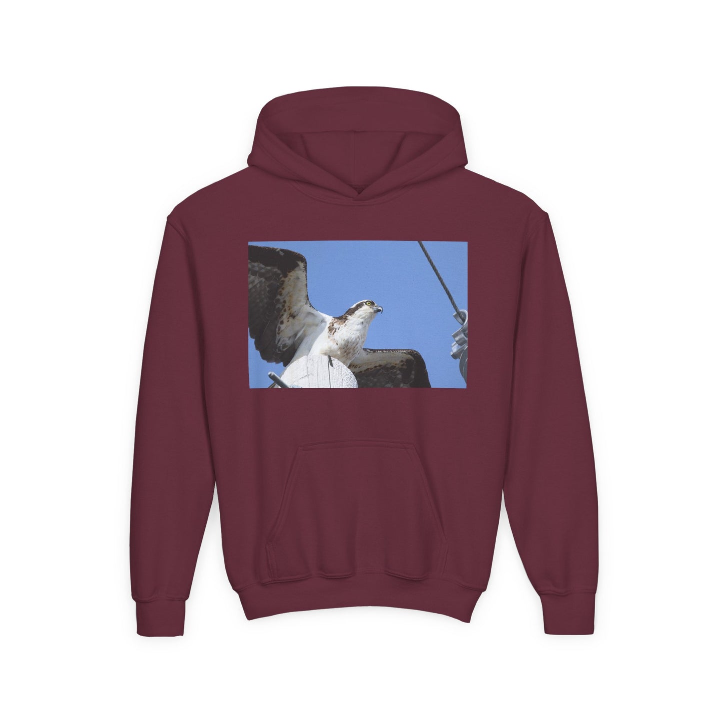 Youth Osprey Photo Hoodie — Kids Birdwatching Nature Pullover