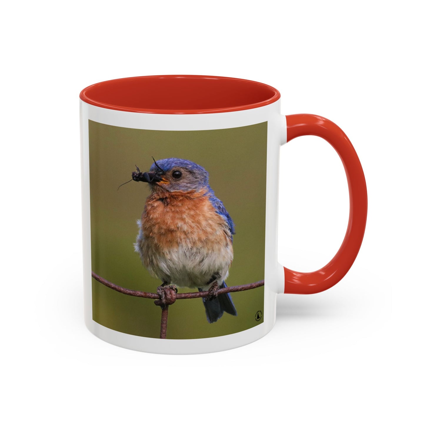 Bluebird Photo Coffee Mug — Eastern Bluebird with Insect Accent Mug (11/15 oz)