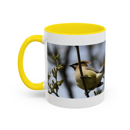 Cedar Waxwing Bird Photo Accent Coffee Mug