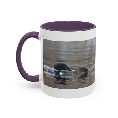 Bufflehead Duck Photo Accent Coffee Mug — Nature Lover Wildlife Gift (11/15oz)