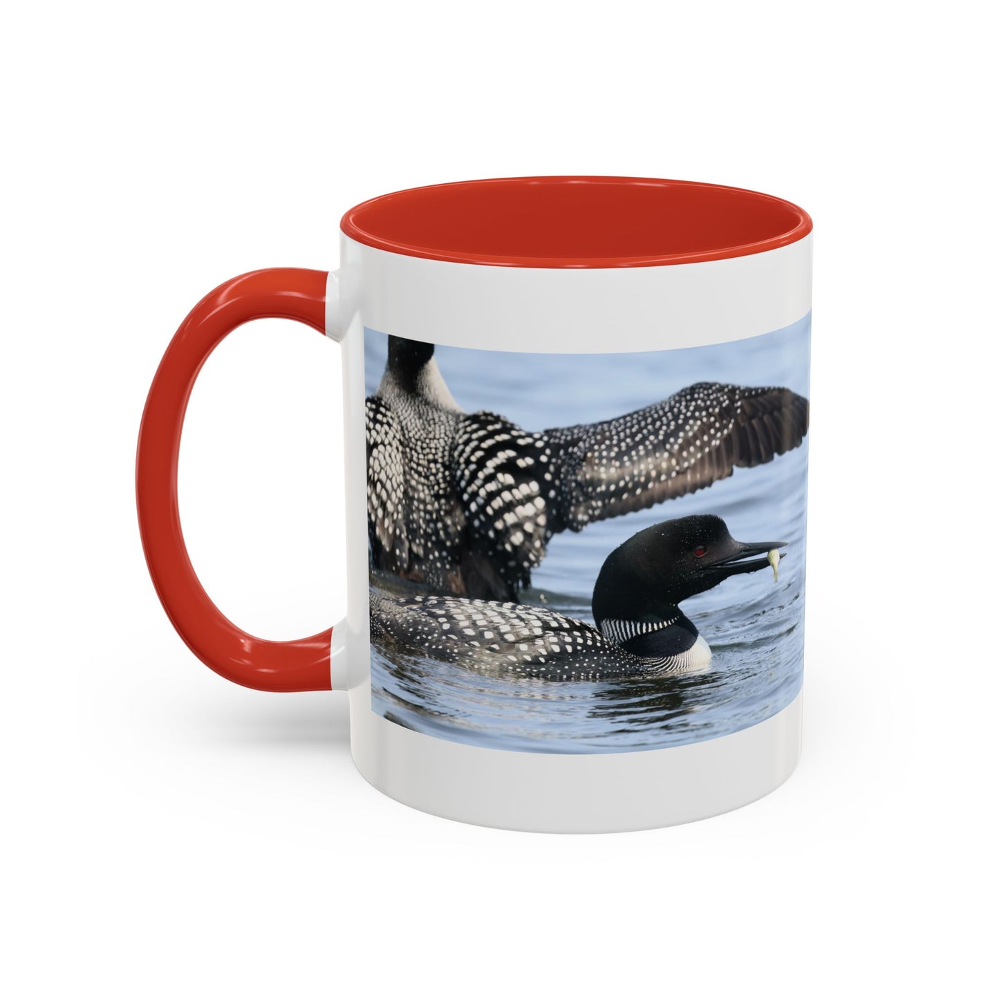 Common Loon Accent Coffee Mug – Wildlife Photography Bird Lover Gift (11/15oz)