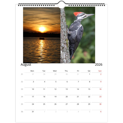 17870978-58c7-4853-82ba-fdf20dadc0f0