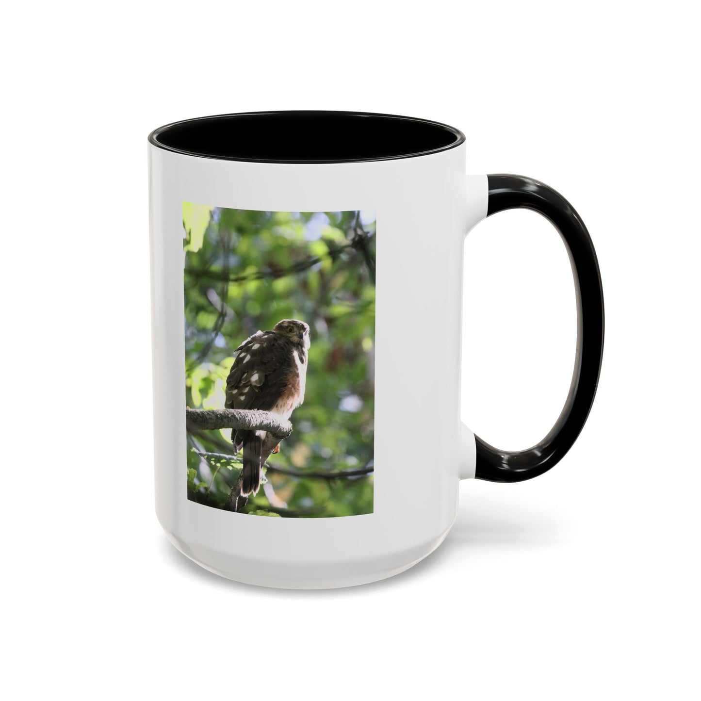Hawk Perch Accent Coffee Mug (11/15 oz) – Nature Bird Photography