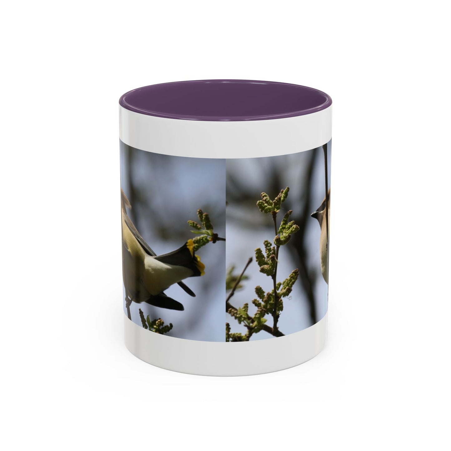 Cedar Waxwing Bird Photo Accent Coffee Mug
