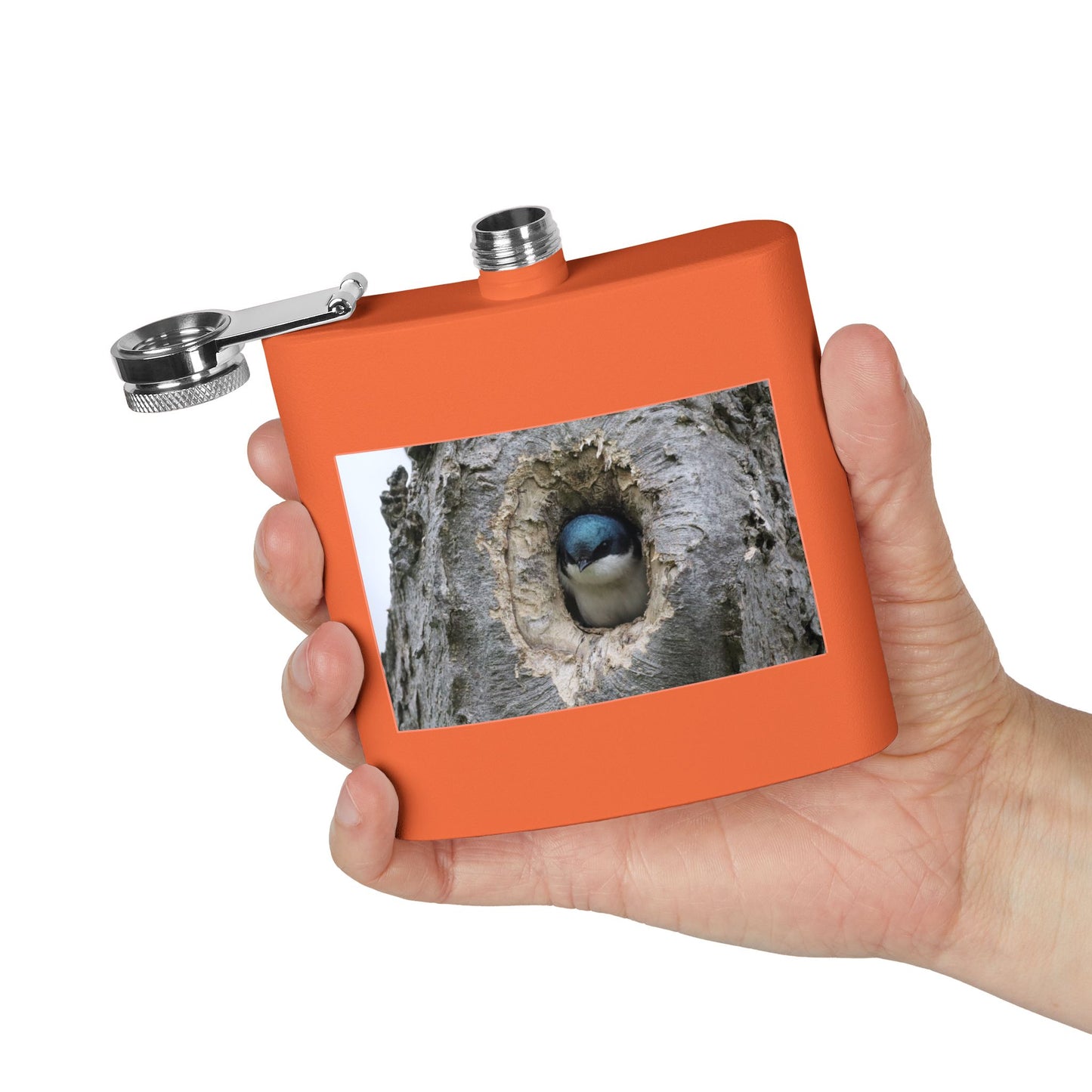6oz Stainless Steel Flask with Tree Swallow Nest Photo — Nature Lover Gift