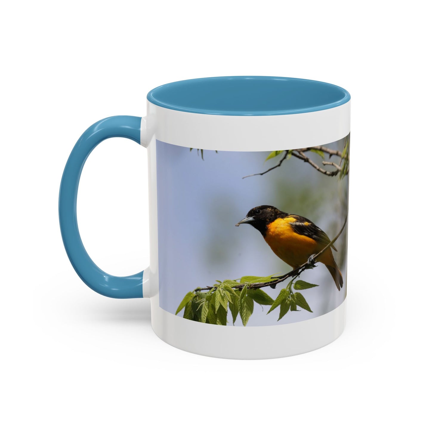 Baltimore Oriole Coffee Mug — Birdwatching Accent Mug (11/15oz)