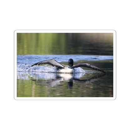 Loon Landing Photo Sticker — Waterproof Kiss-Cut Nature Decal