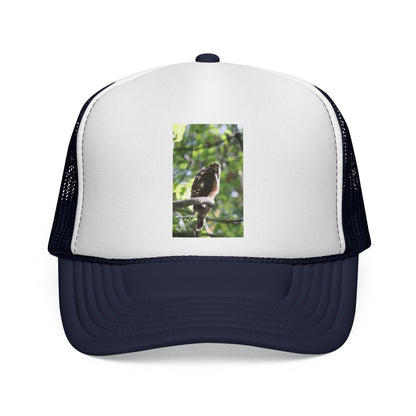 Bird Photography Trucker Cap – Perched Owl Nature Hat