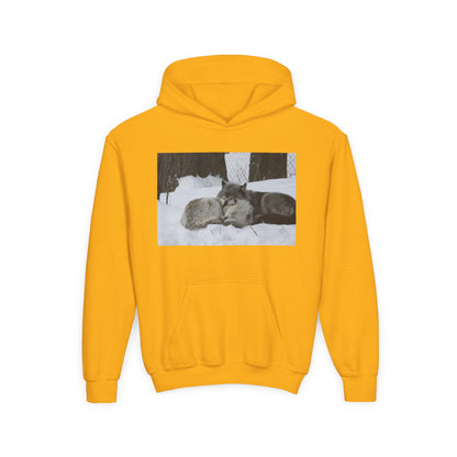 Youth Heavy Blend Hooded Sweatshirt