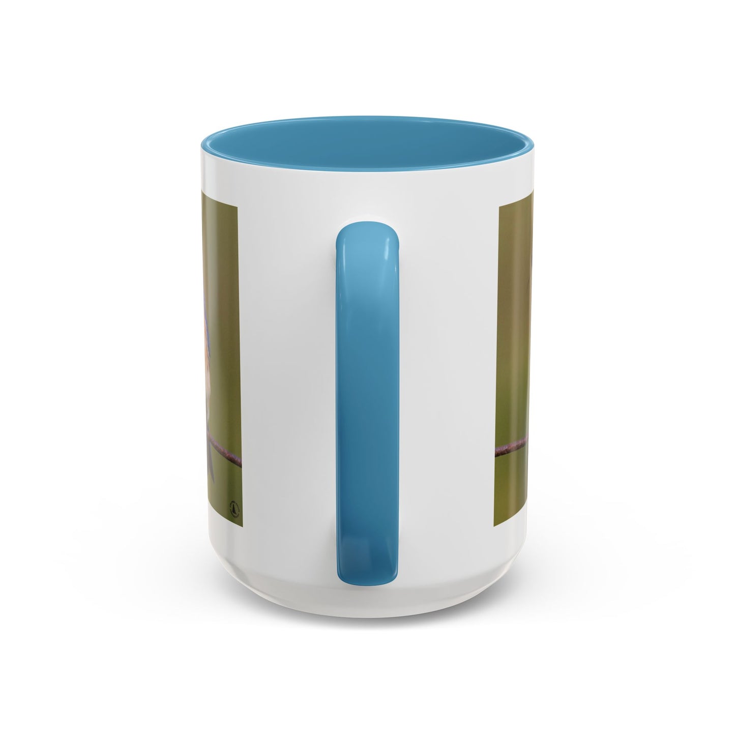 Bluebird Photo Coffee Mug — Eastern Bluebird with Insect Accent Mug (11/15 oz)