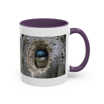 Bluebird in Tree Cavity Accent Coffee Mug — Nature Wildlife Ceramic Mug (11/15oz)