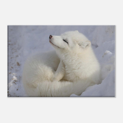 17b80b4b-419d-4fec-add1-0f7cc5933ff8