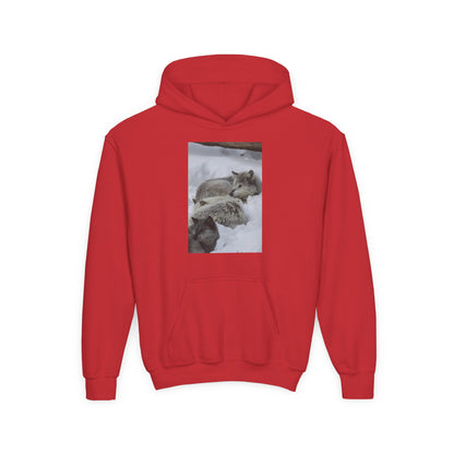 Sleeping Foxes Youth Hoodie | Wildlife Photography, Snow Scene