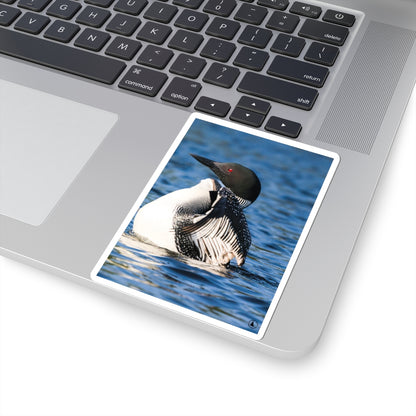Common Loon Kiss-Cut Sticker — Realistic Loon Photo Waterproof Sticker for Nature Lovers