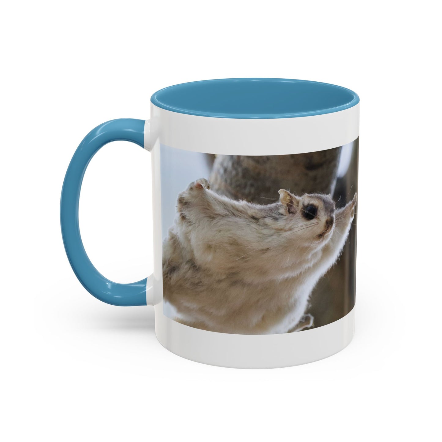 Flying Squirrel Accent Coffee Mug — Cute Wildlife Photo Mug (11/15oz)
