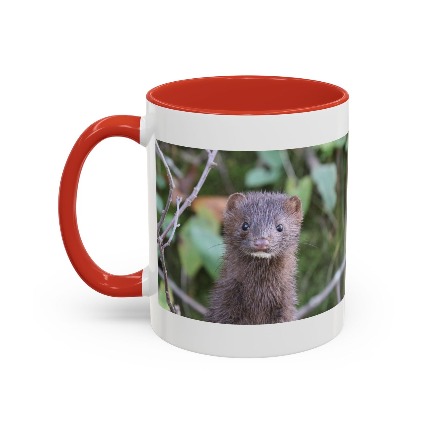 Cute Mink Photo Accent Mug – Wildlife Photography Coffee Cup (11/15 oz)