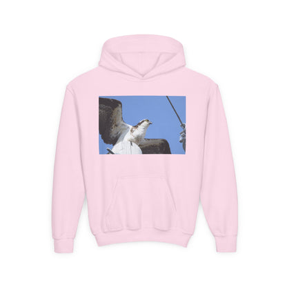 Youth Osprey Photo Hoodie — Kids Birdwatching Nature Pullover