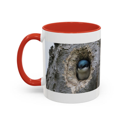 Bluebird in Tree Cavity Accent Coffee Mug — Nature Wildlife Ceramic Mug (11/15oz)