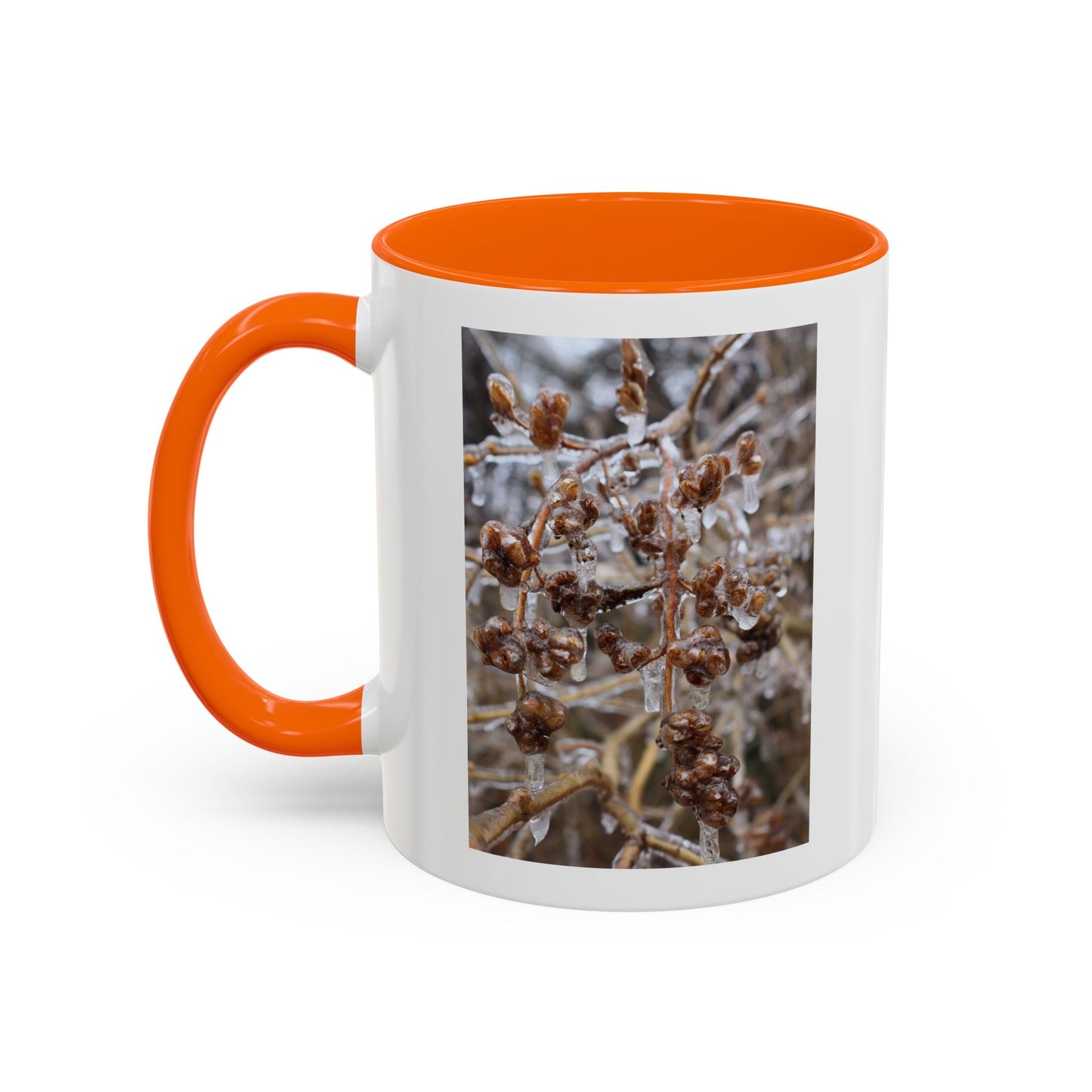 Ice-Coated Berries Accent Coffee Mug (11/15 oz) — Winter Nature Photo