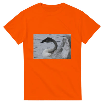 180d8cb6-8c77-4791-b263-2290cf4ffdb5