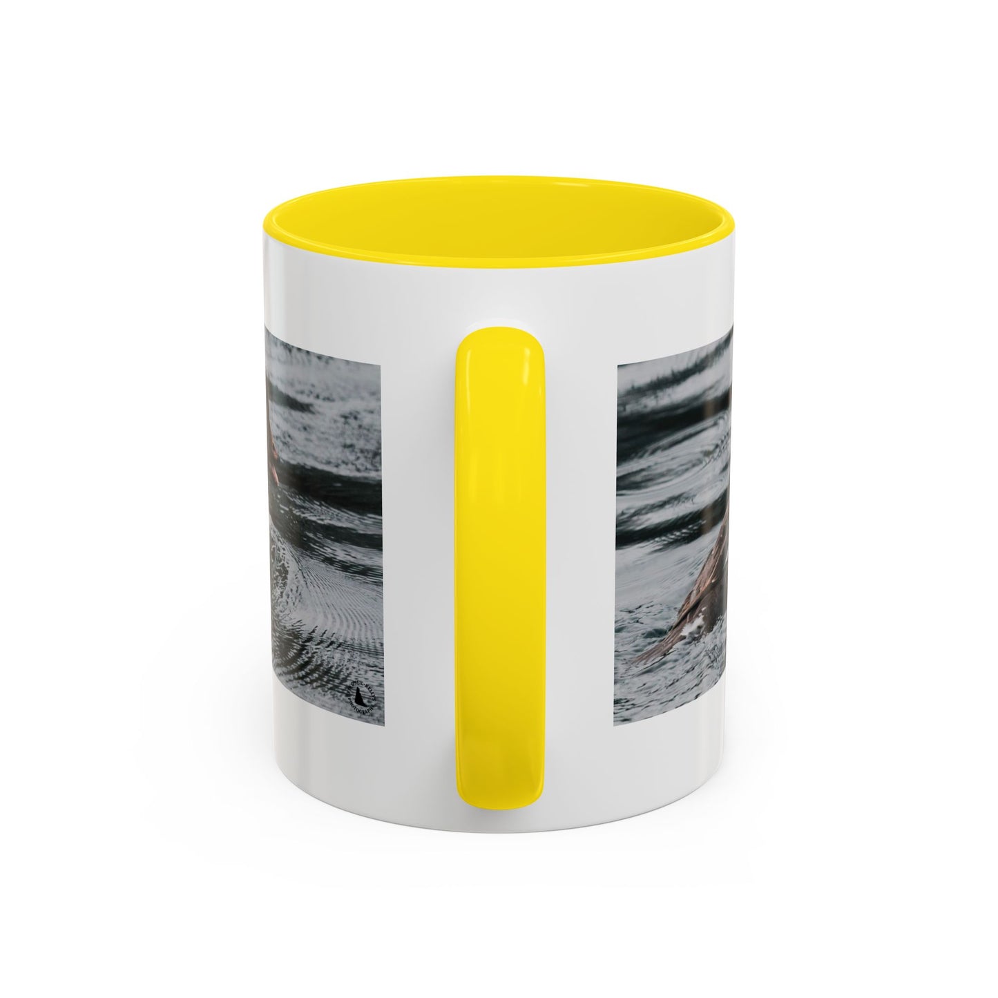 Goldeneye Duck Photo Accent Coffee Mug — Wildlife Nature Lover Gift (11/15 oz)