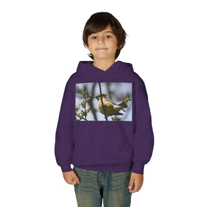 Cedar Waxwing Bird Hoodie | Youth Hooded Sweatshirt