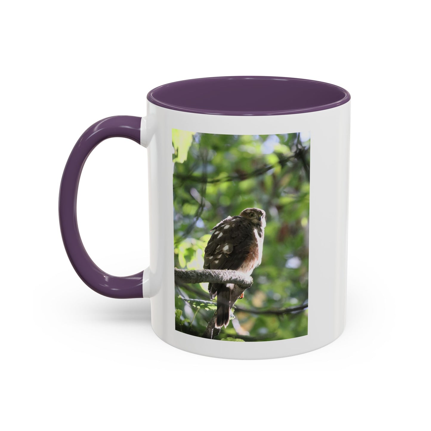 Hawk Perch Accent Coffee Mug (11/15 oz) – Nature Bird Photography