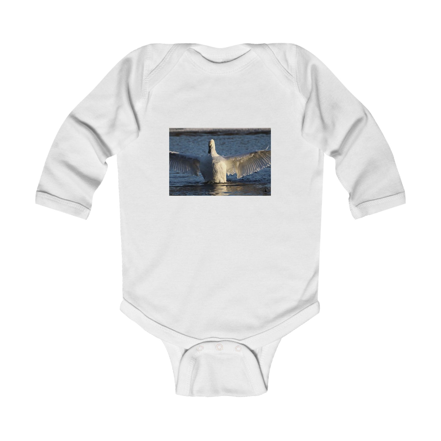 Infant Bodysuit with Swan Photo — Cute Waterfowl Baby Onesie