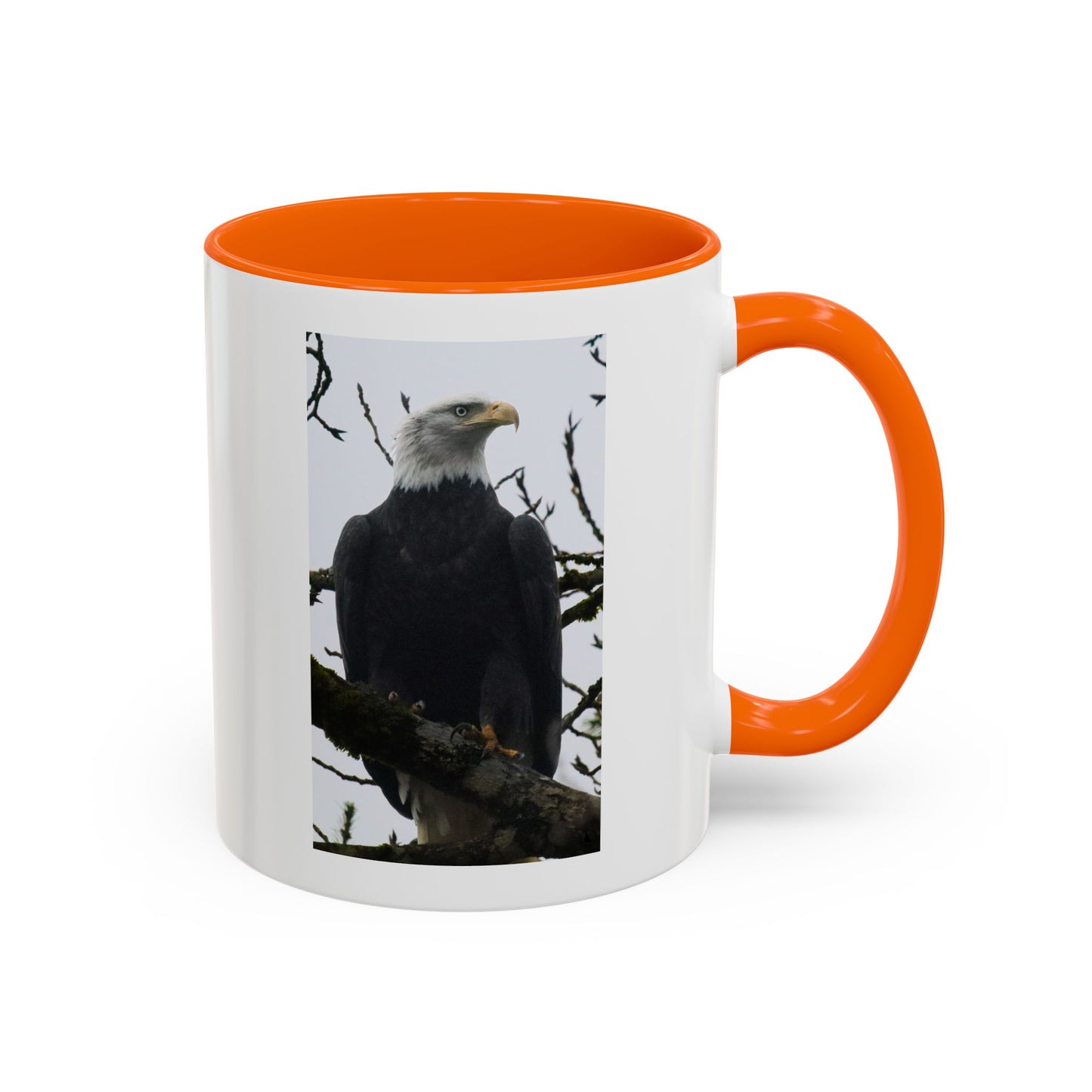 Bald Eagle Accent Coffee Mug – Patriotic Wildlife 11/15oz