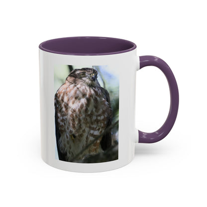 Hawk Photo Accent Coffee Mug — Birdwatcher Gift, 11/15oz
