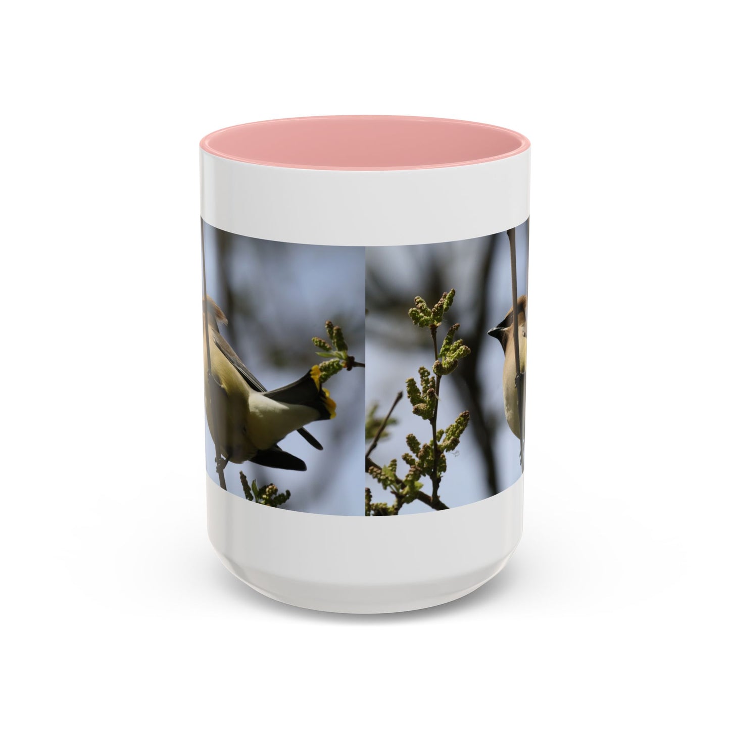 Cedar Waxwing Bird Photo Accent Coffee Mug