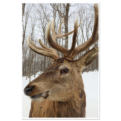 18231ee3-33bd-4121-a7ae-51841830552e