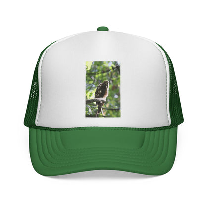 Bird Photography Trucker Cap – Perched Owl Nature Hat