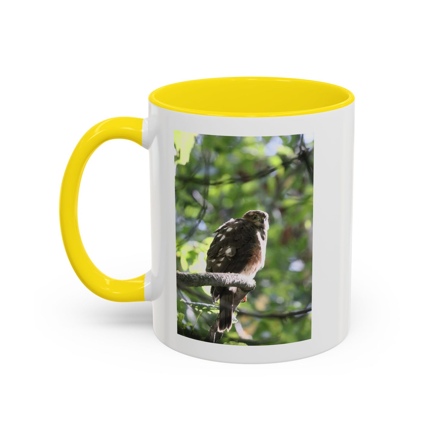 Hawk Perch Accent Coffee Mug (11/15 oz) – Nature Bird Photography