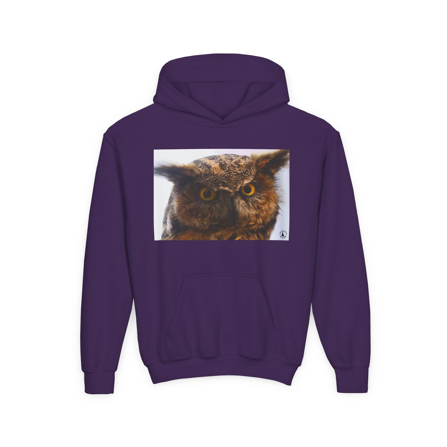 Youth Hoodie with Realistic Owl Art — Cute Kids Animal Pullover