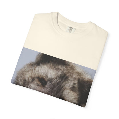 Arctic Tranquility: Serene Wildlife Portrait, Arctic Fox Close-Up Photographyphotography shirts