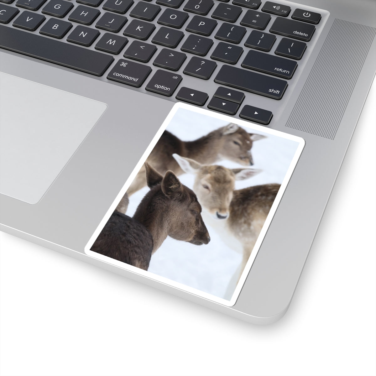 Deer Herd Kiss-Cut Sticker — Winter Wildlife Photo Sticker