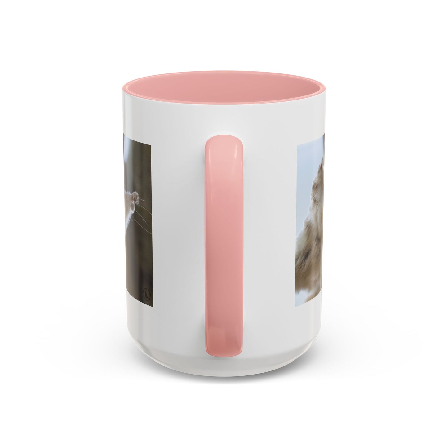 Flying Squirrel Accent Coffee Mug — Cute Wildlife Photo Mug (11/15oz)