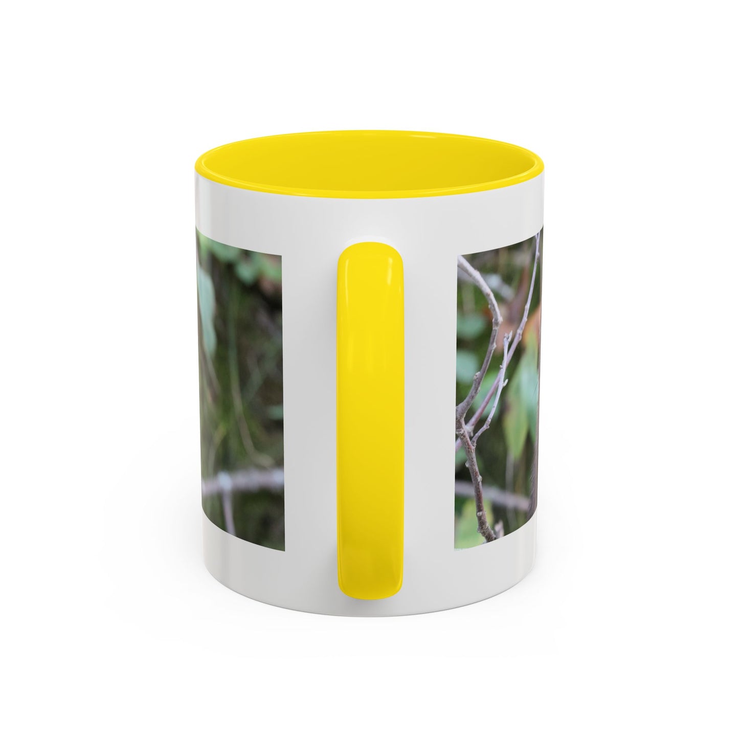 Cute Mink Photo Accent Mug – Wildlife Photography Coffee Cup (11/15 oz)